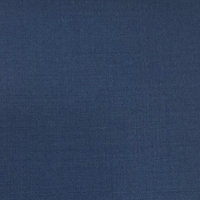 Classic Blue