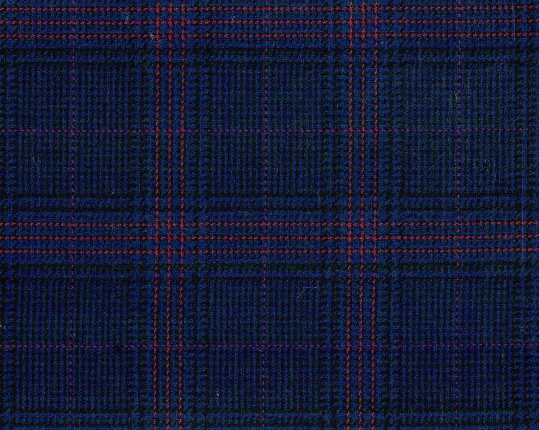 Blue W/Raspberry Check