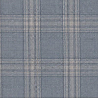 Bluish Grey Check