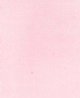 Pink Birdeye
