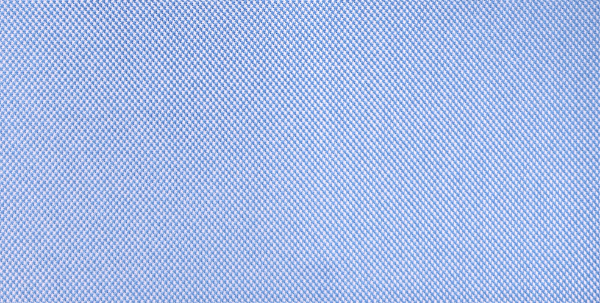 Blue Birdeye