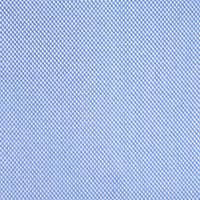 Blue Birdeye