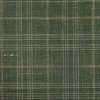 Green Multi Check