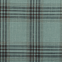 Mint Green W/Dark Brown Check
