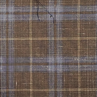 Brown W/Blue Windowpane