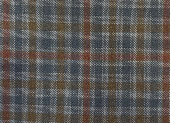 Blue Multi Check