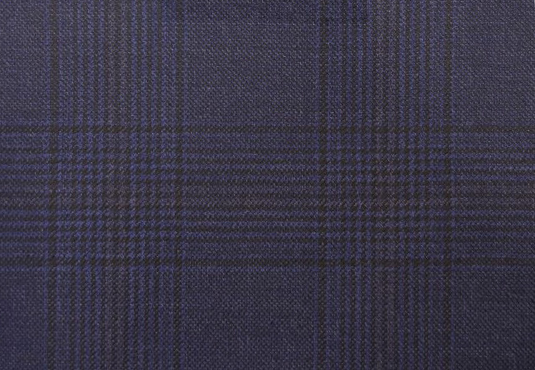 Navy Check