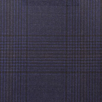 Navy Check