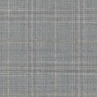 Light Grey Check