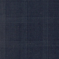 Blue Windowpane