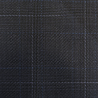 Navy Blue Check