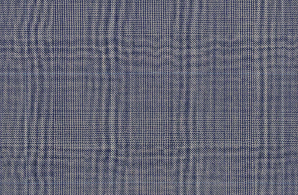 Light Blue Check
