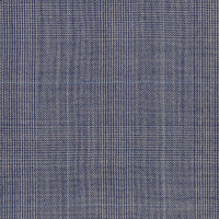 Light Blue Check