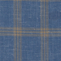 Blue W/Tan Check