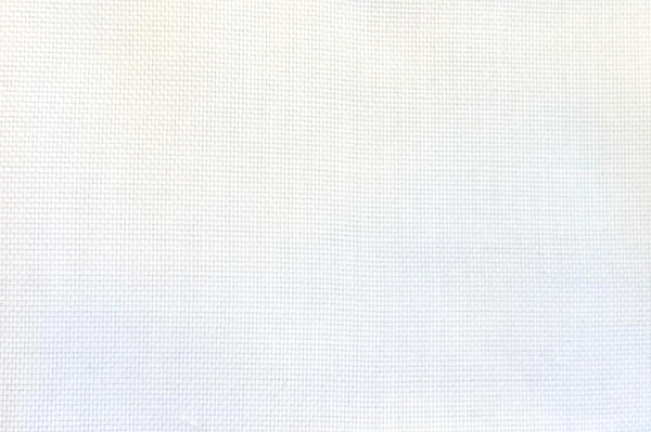 White Nailhead