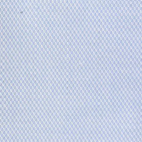 Light Blue Birdeyes