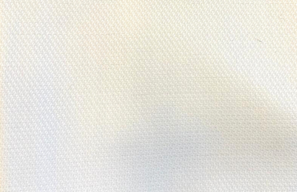 White Birdeyes