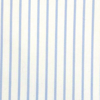 Baby Blue Chalk Stripe