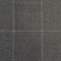 Grey Windowpane