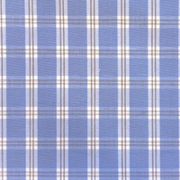 Blue W/Brown Windowpane