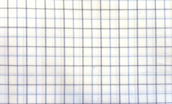 Navy & Blue Multi Check