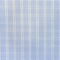 Sky Blue Check