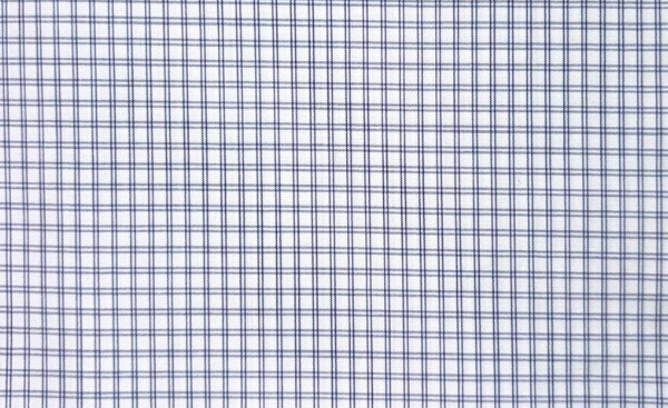 Blue Windowpane