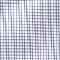 Blue Windowpane
