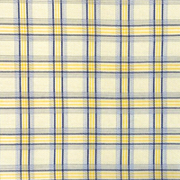 Yellow W/Blue Windowpane