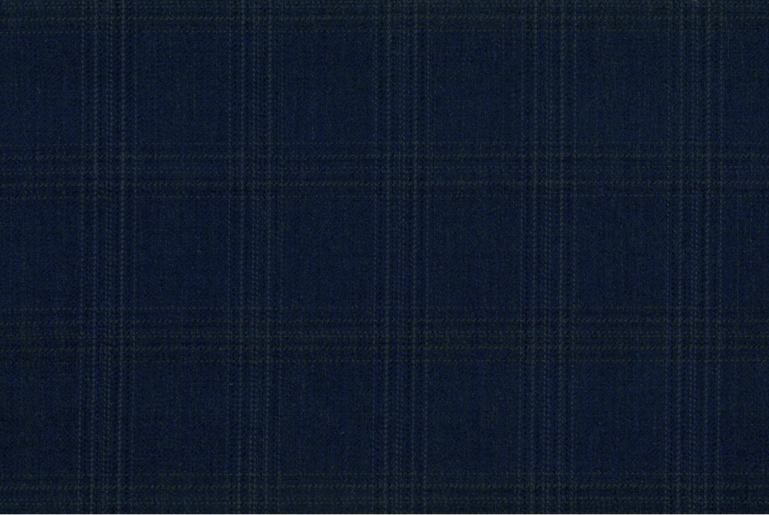 Navy Check