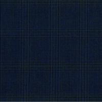 Navy Check