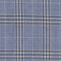 Bluish Check