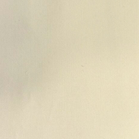 Bleached Sand