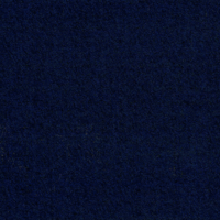 Light Navy