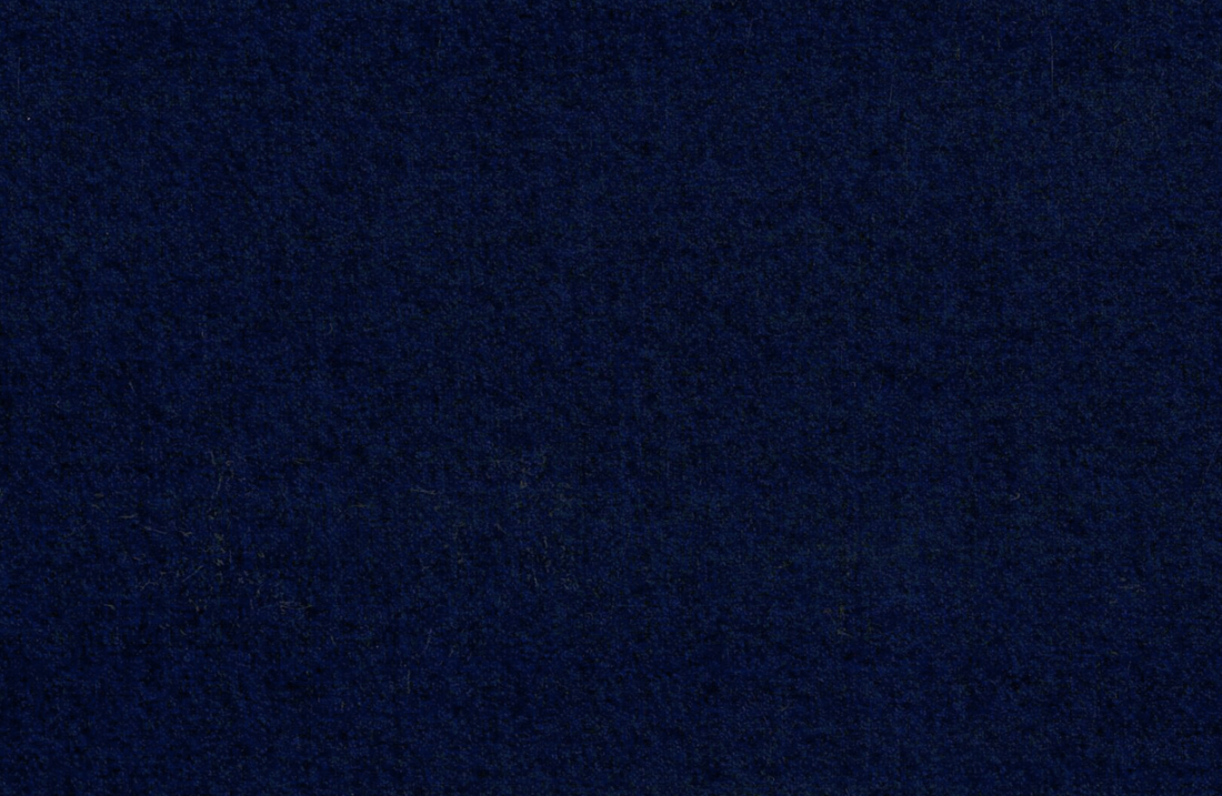 Light Navy