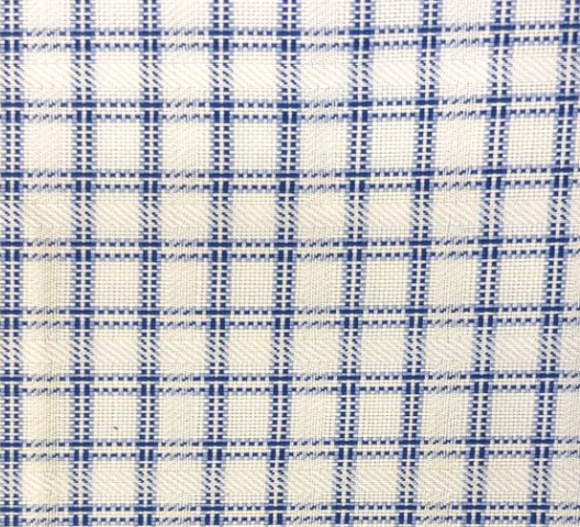 Navy Check