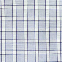 Blue W/White Check