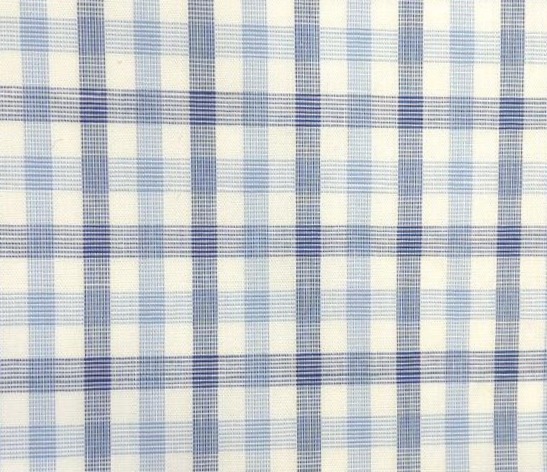 Blue W/Navy Check