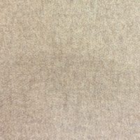 Light Khaki