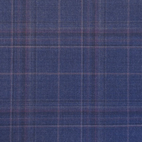 Purple Blue WPurple Check