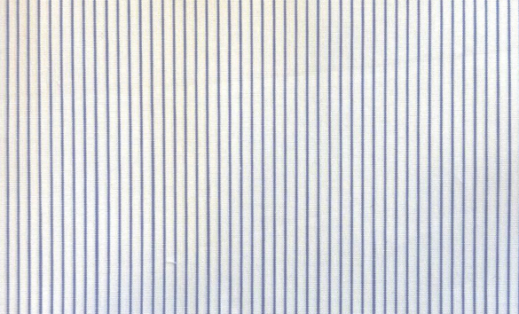 Thin Blue Stripe