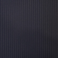 Navy Stripe