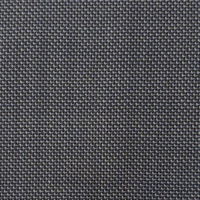 Greyish Blue Birdeye