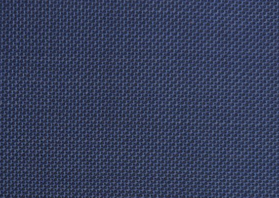 Royal Blue Birdeye