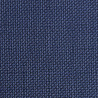 Royal Blue Birdeye